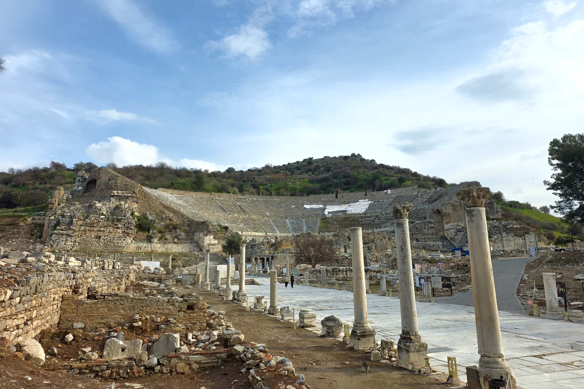 Ephesus Ruins & Beyond: Terrace Houses - Museum & Lunch - Gallery 5